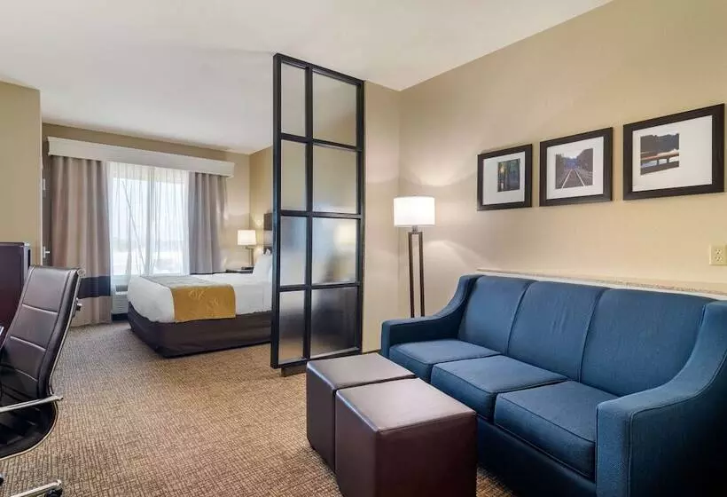スイート, Comfort Suites Byron Warner Robins