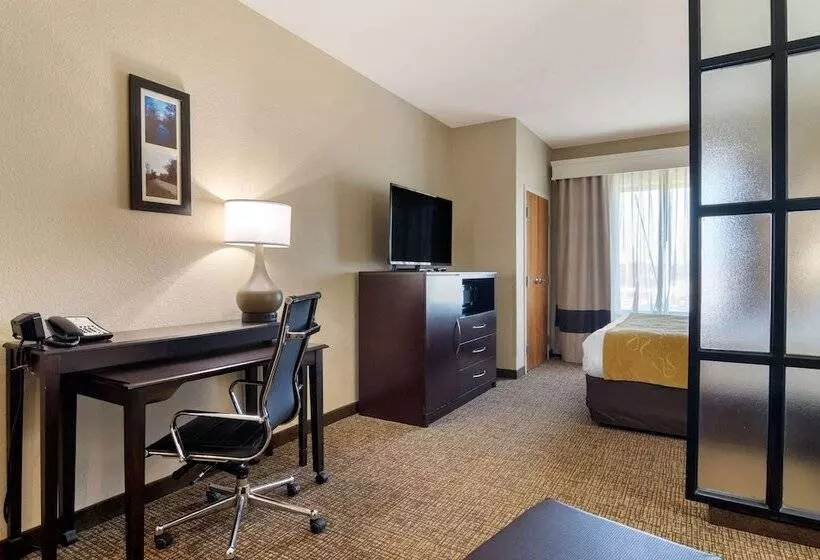 スイート, Comfort Suites Byron Warner Robins
