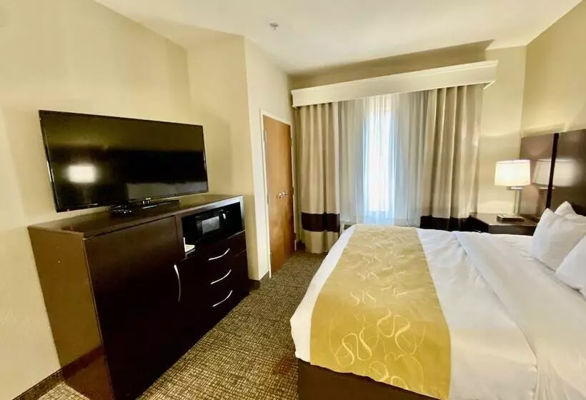 スイート, Comfort Suites Byron Warner Robins
