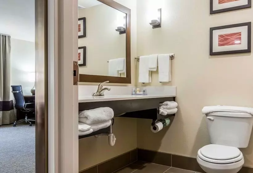 身障者適用スイートルーム, Comfort Suites Byron Warner Robins