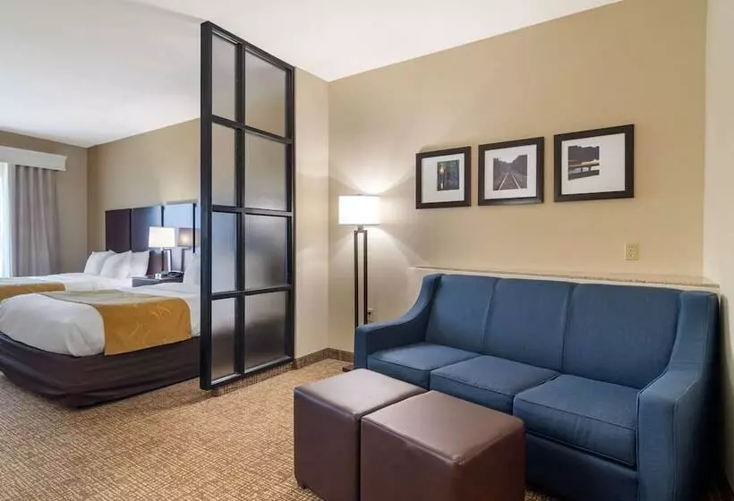 身障者適用スイートルーム, Comfort Suites Byron Warner Robins