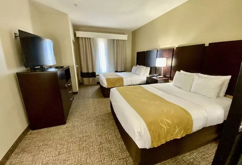 身障者適用スイートルーム, Comfort Suites Byron Warner Robins