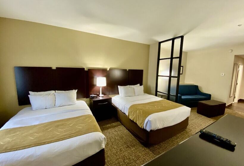 Люкс Адаптированный для Инвалидов, Comfort Suites Byron Warner Robins