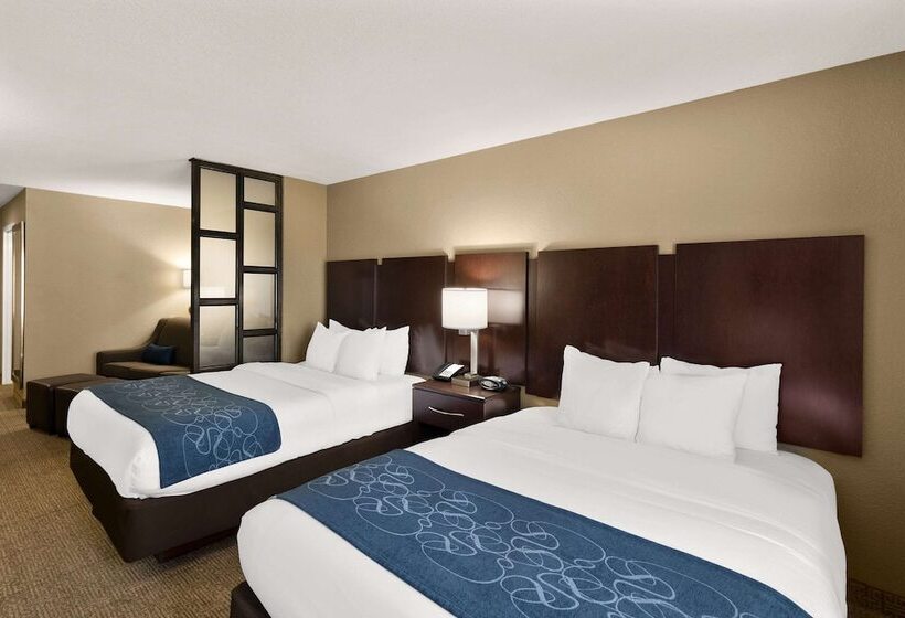 Люкс, Comfort Suites