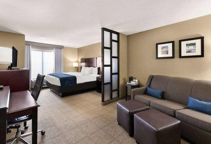 جناح لذوى الاحتياجات الخاصة, Comfort Suites