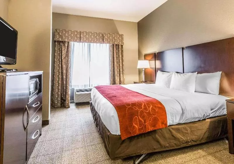 キングサイズベッドのスイートルーム, Comfort Suites