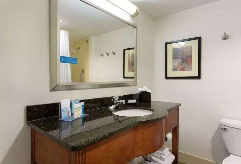 اتاق استاندارد, Hampton Inn Charlotte Belmont At Montcross