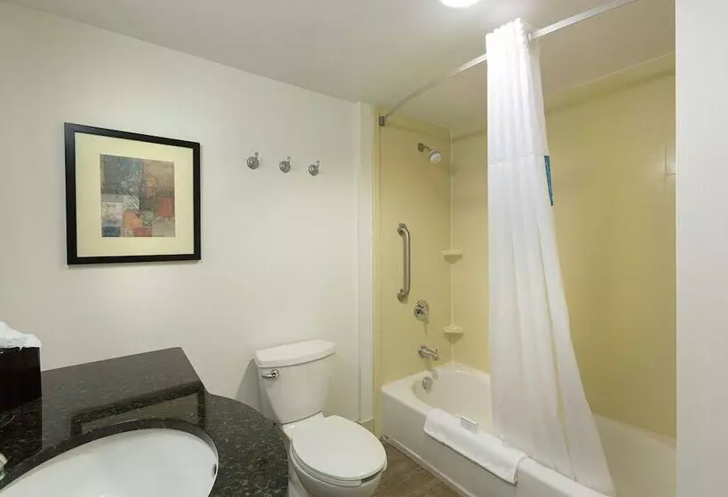 اتاق استاندارد, Hampton Inn Charlotte Belmont At Montcross