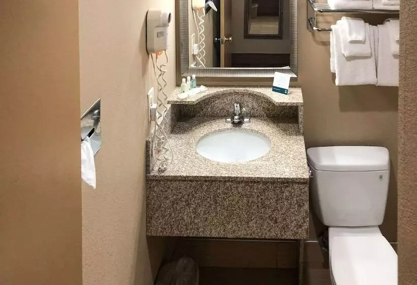 ２ダブルベッドのスタンダードルーム, Quality Inn Near Joint Base Andrewswashington Area