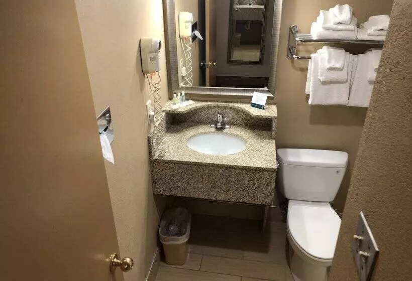２ダブルベッドのスタンダードルーム, Quality Inn Near Joint Base Andrewswashington Area