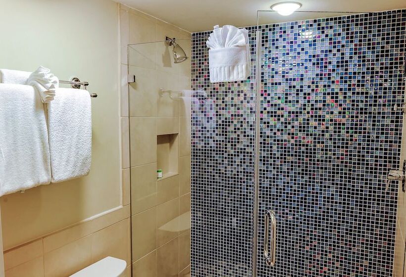 חדר סופריור עם מיטת קינג, Silver Palms Inn