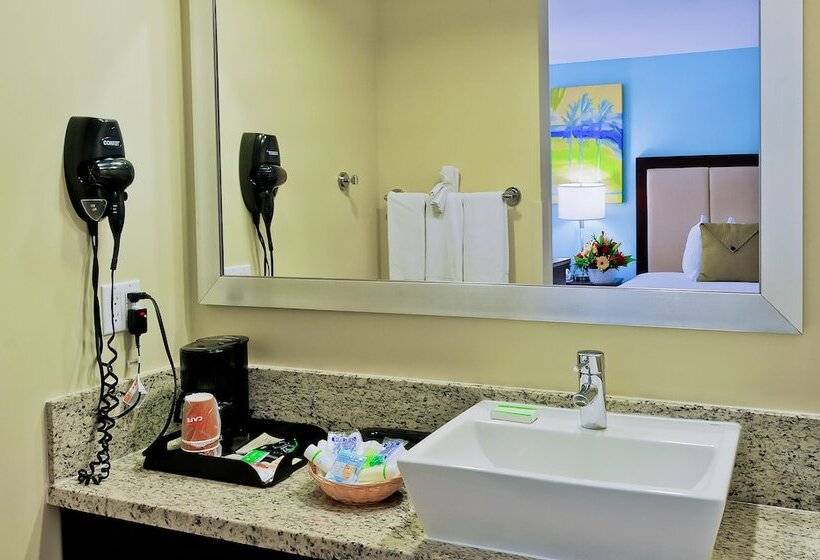 Люкс, Silver Palms Inn