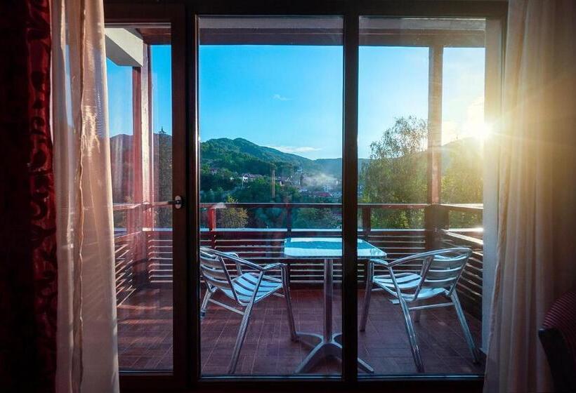 Номер Стандартный с Видом, Tisa