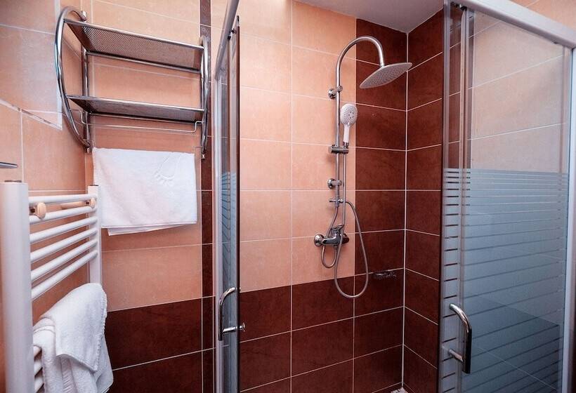 Номер Стандарт, Tisa