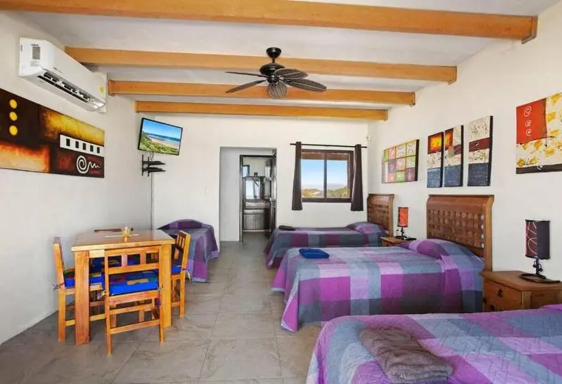 اتاق اکونومی, Punta Conejo Resort