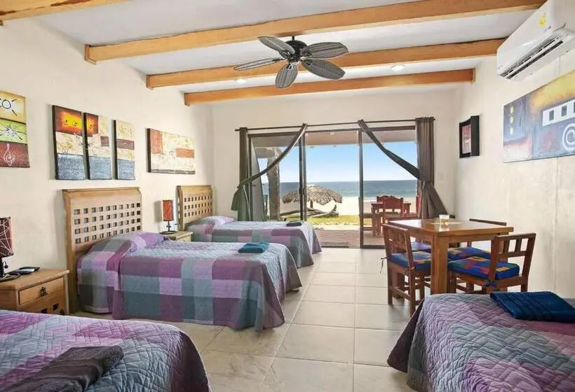 اتاق اکونومی, Punta Conejo Resort