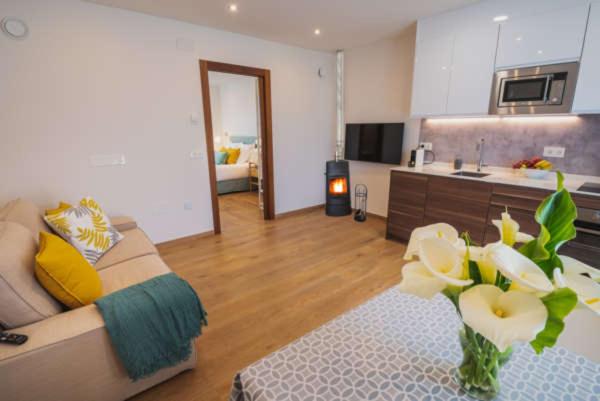 Апартаменты 1 Спальня с Террасой, Apartamentos Mirador De Vidío