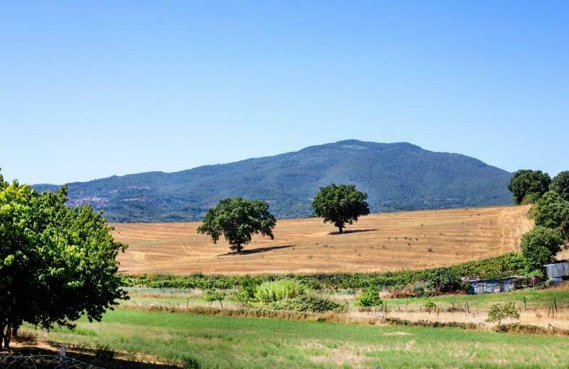 חדר סטנדרט, Agriturismo Poggio Degli Ulivi