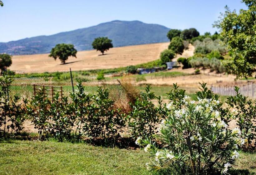Семейное Бунгало, Agriturismo Poggio Degli Ulivi