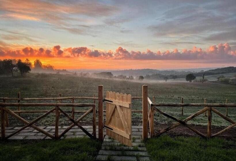 חדר סטנדרט, Agriturismo Poggio Degli Ulivi