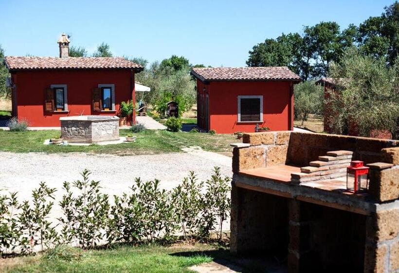 בונגלו משפחתי, Agriturismo Poggio Degli Ulivi