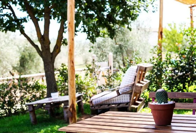 家族用バンガロー, Agriturismo Poggio Degli Ulivi