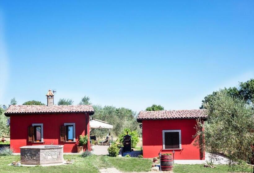 בקתה סטנדרטית, Agriturismo Poggio Degli Ulivi