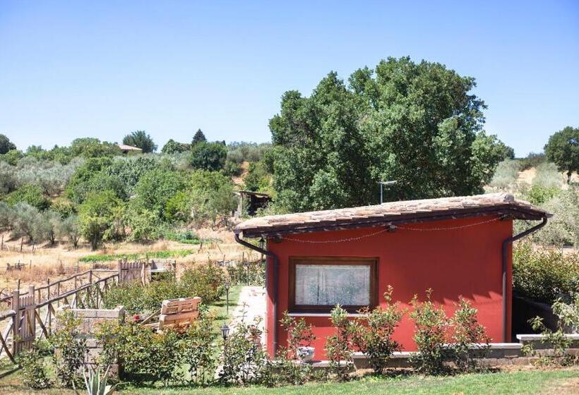בקתה סטנדרטית, Agriturismo Poggio Degli Ulivi
