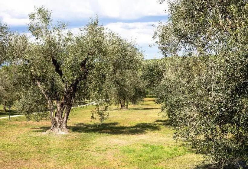 スタンダードバンガロー, Agriturismo Poggio Degli Ulivi