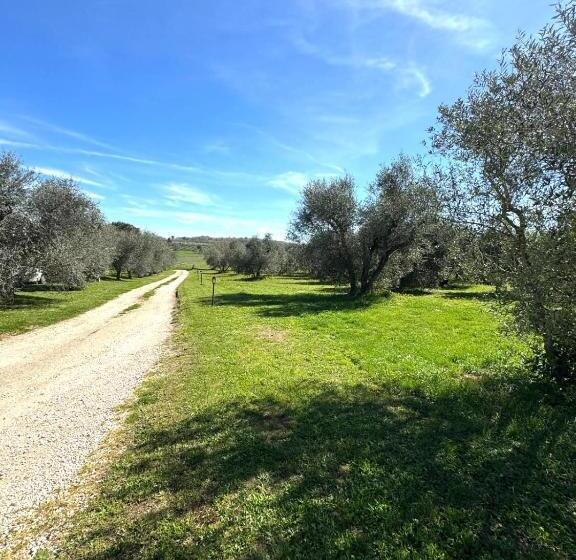 בקתה סטנדרטית, Agriturismo Poggio Degli Ulivi