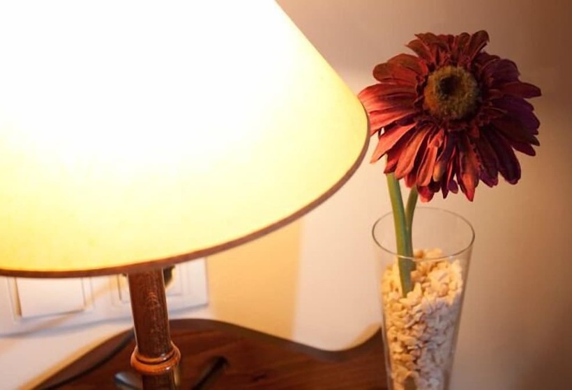 اتاق استاندارد, Posada San Pedro