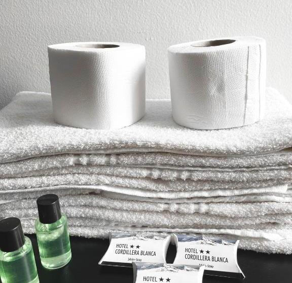 اتاق استاندارد یک نفره, Cordillera Blanca