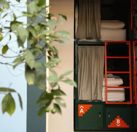 Кровать в Общей Комнате, Viajero Cdmx Centro Hostel