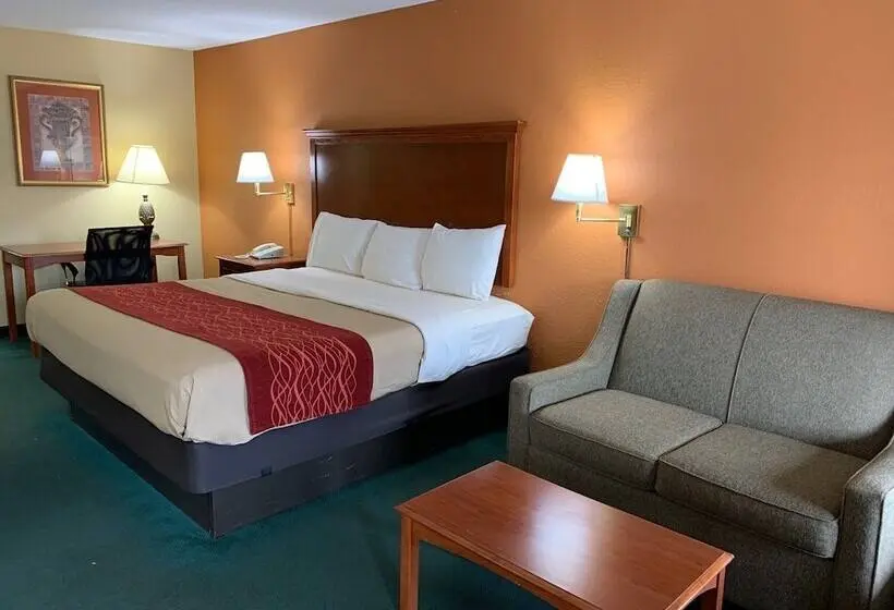 シングルデラックスルーム, Coachman S Inn Motel