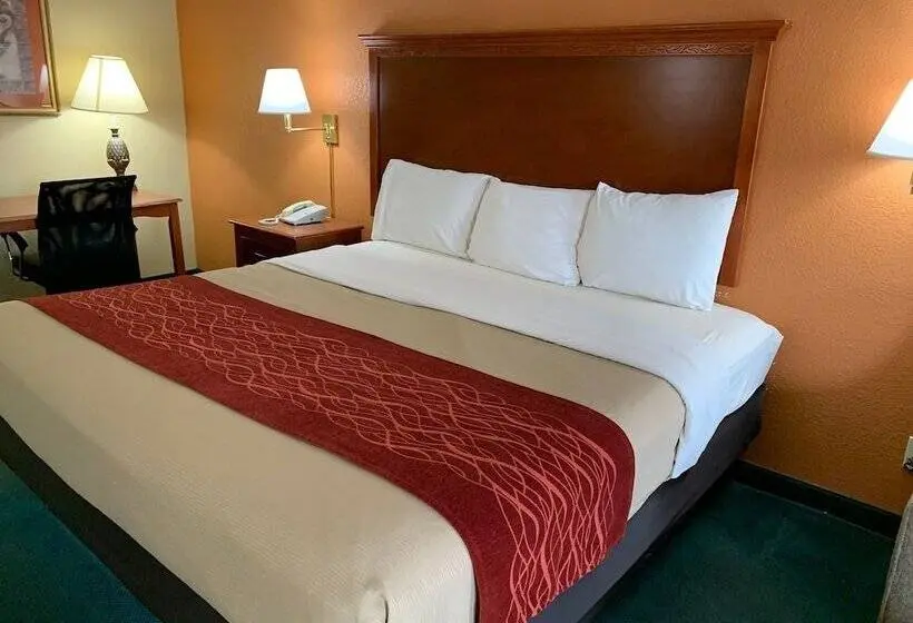 シングルデラックスルーム, Coachman S Inn Motel
