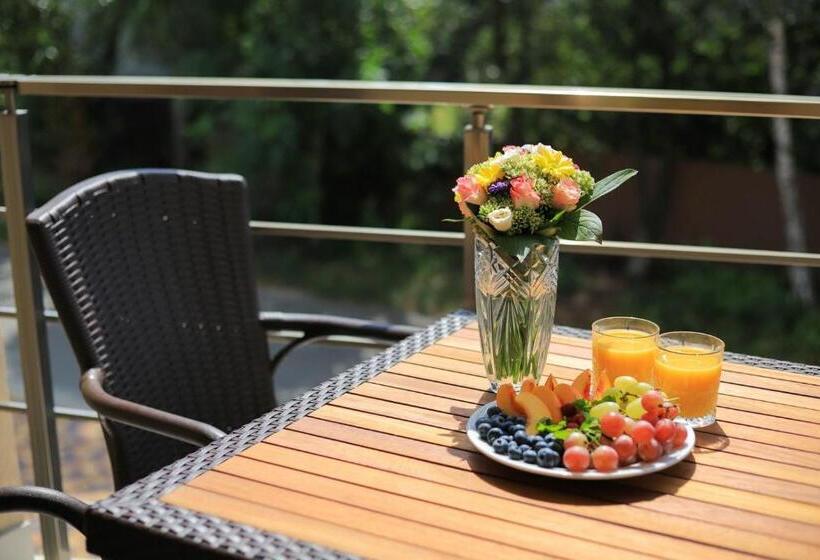 جناح مزوَّد بشرفة, Borys Hotel Boryspil Airport