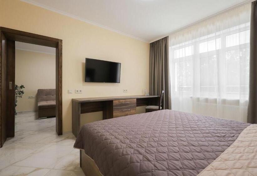 جناح مزوَّد بشرفة, Borys Hotel Boryspil Airport