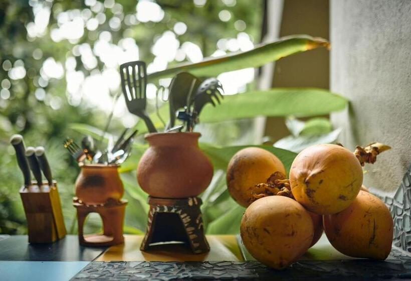 חדר סטנדרט עם טרסה, Casa Vana Hiriketiya