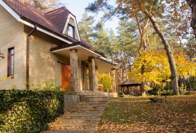 سوییت, Kohavi Forest Club