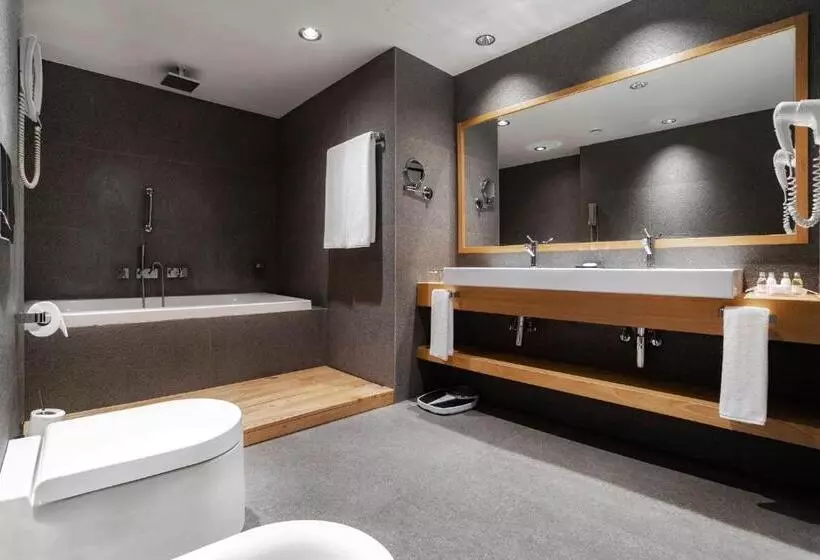 اتاق اجرایی با تخت بزرگ, Holiday Inn   Tbilisi, An Ihg