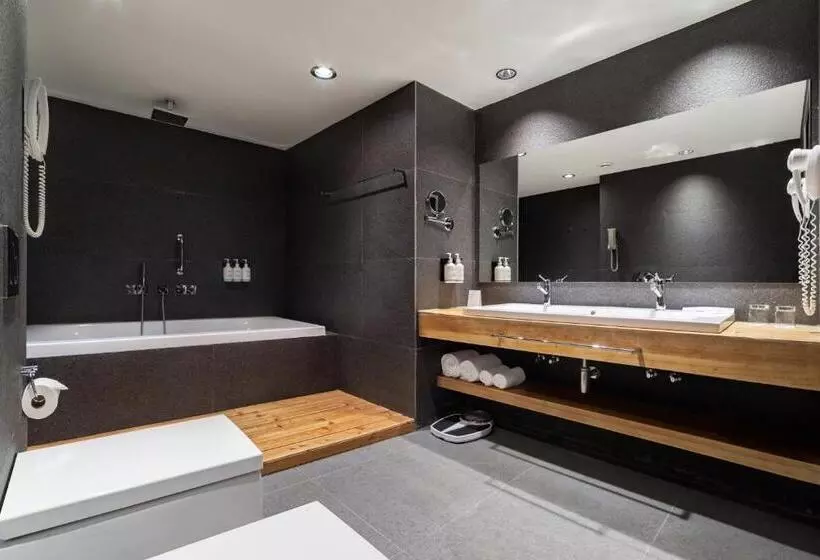 اتاق اجرایی با تخت بزرگ, Holiday Inn   Tbilisi, An Ihg