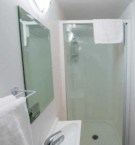 חדר סטנדרט לארבעה, The Park Hotel Ruapehu