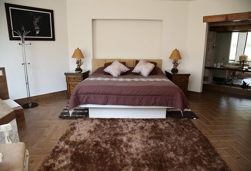 山の見えるジュニアスイート, Centenario Los Arroyitos