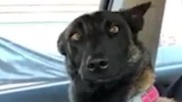 Quarto Standard Casa de Banho Partilhada, Souvenir