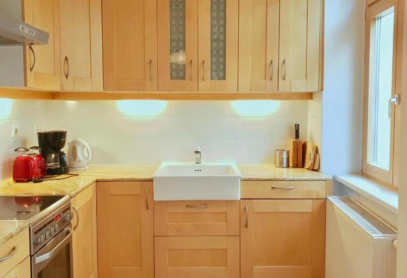 带1个卧室的豪华公寓, Vienna Hostel Ruthensteiner