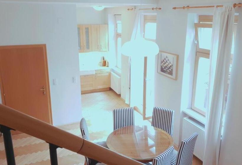 带1个卧室的豪华公寓, Vienna Hostel Ruthensteiner