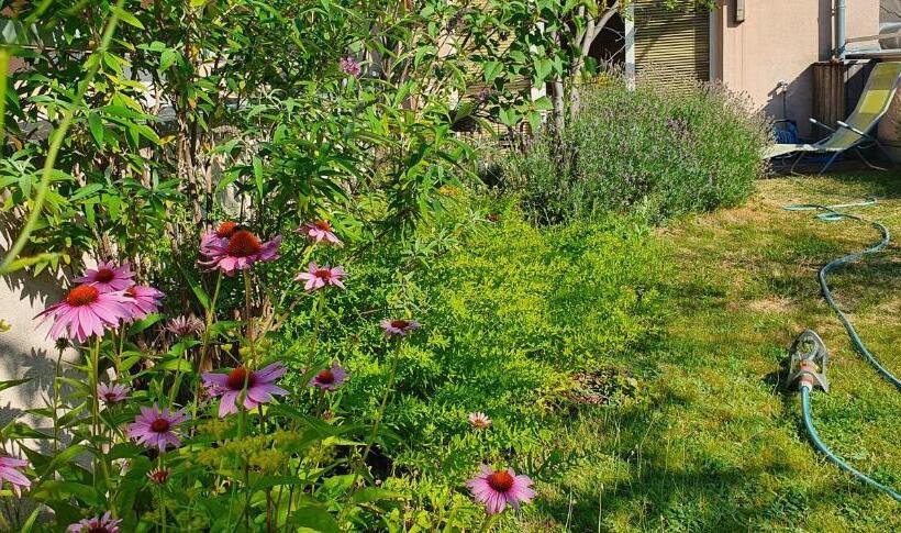 带露台的标准工作室, Vienna Hostel Ruthensteiner