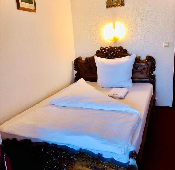 标准间带湖景, Just Bar   Pension