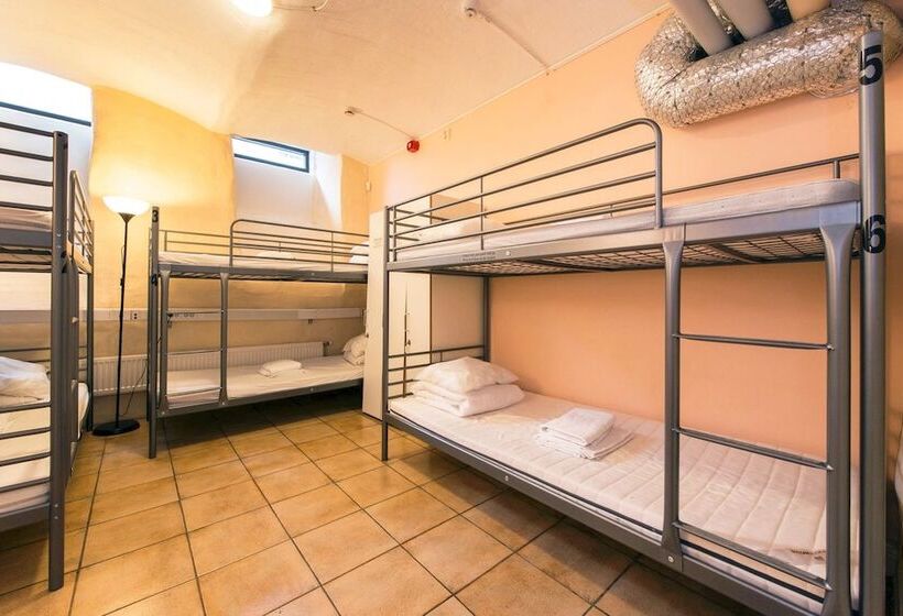 מיטה בחדר משותף, Nomad Cave