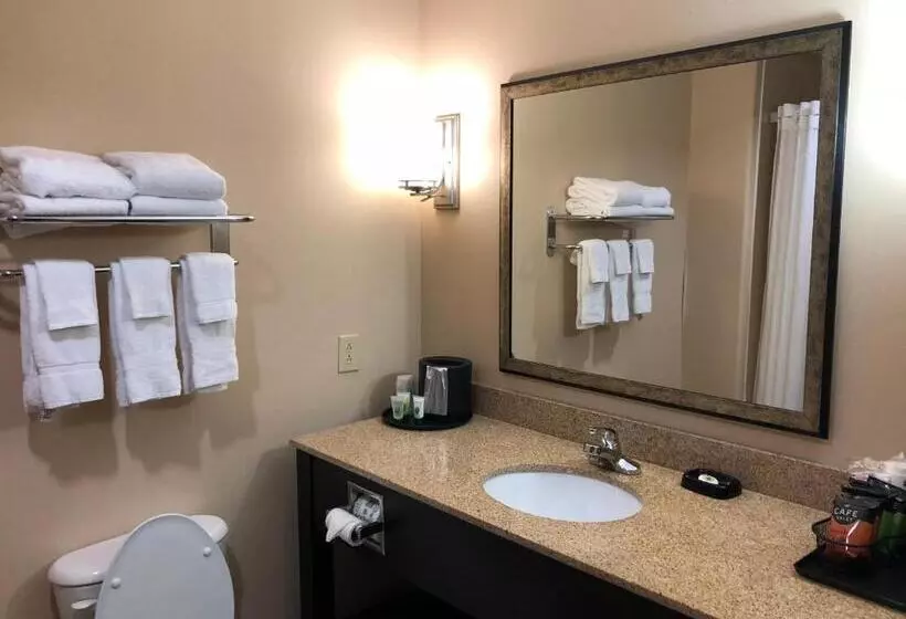 キングサイズベッドのスタンダードルーム, Best Western Plus Goodman Inn & Suites